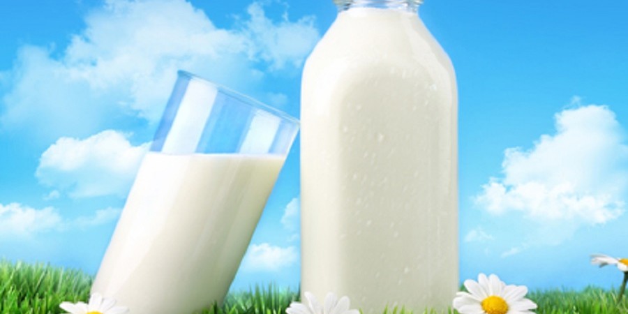 یک کارشناس صنعت شیر : به خاطر ۲میلیون دامدار، سلامت ۸۰میلیون ایرانی را به خطر نیاندازید