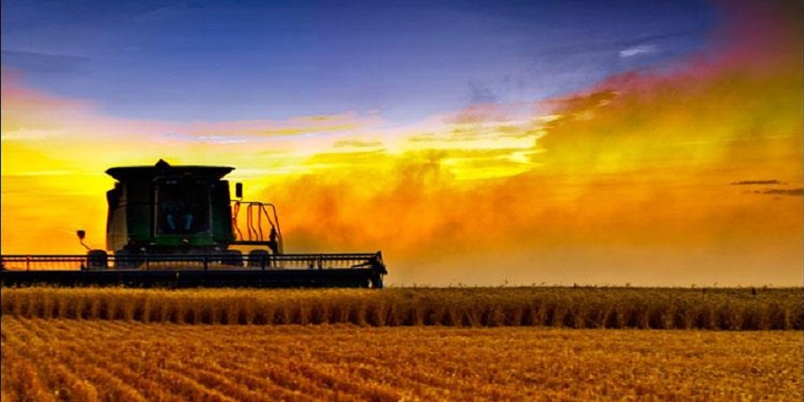 توسعه صادرات محصولات کشاورزی خواسته بحق کشاورزان است