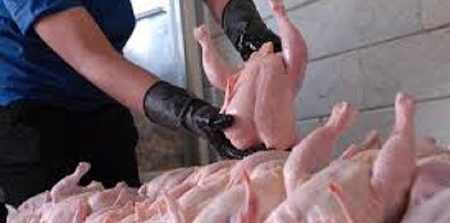 عرضه گوشت طیور در بهار امسال ۱۰.۵ درصد افزایش یافت
