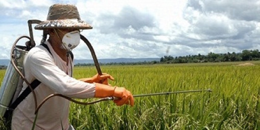 تمایل ایران و فیلیپین برای گسترش همکاری های کشاورزی