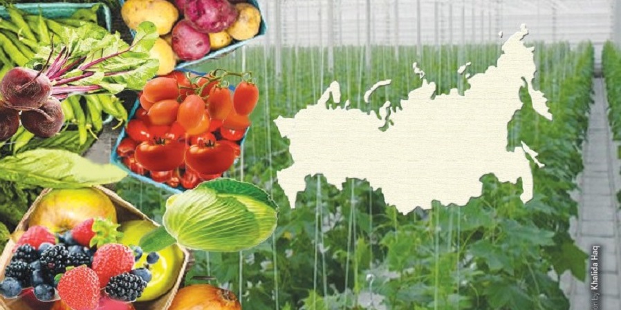 رکوردزنی جدید روسیه در صادرات مواد غذایی