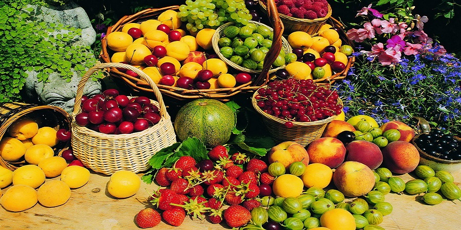 تب قیمت میوه‌های نوبرانه فروکش کرد