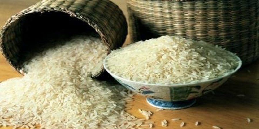 مسائل حوزه برنج کشور نقد و بررسی شد