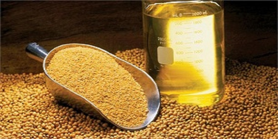 مدیرعامل شرکت بازرگانی دولتی ایران خبر داد: خرید تضمینی۳۷ هزار و ۶۷۹تن دانه‌های روغنی کلزا