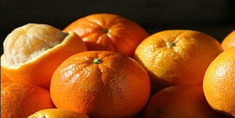 صادرات نارنگی پاکستان افزایش می‌یابد