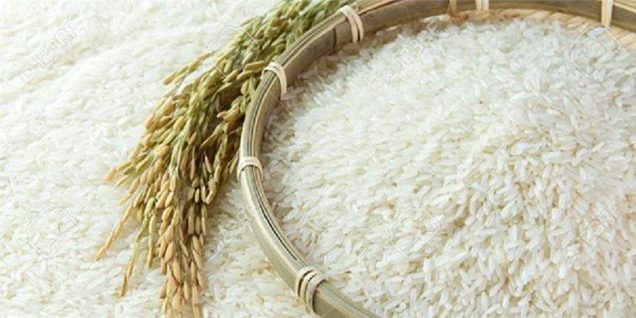 مدیرکل غلات و محصولات اساسی:پیش بینی تولید۲٫۳میلیون تن برنج درسالجاری/ ممنوعیت واردات درفصل برداشت برقراراست