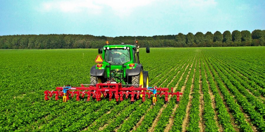 رشد بخش کشاورزی درسال ۱۳۹۵ به پنج درصد رسید/ افزایش ۱۴۰درصدی خرید تضمینی گندم