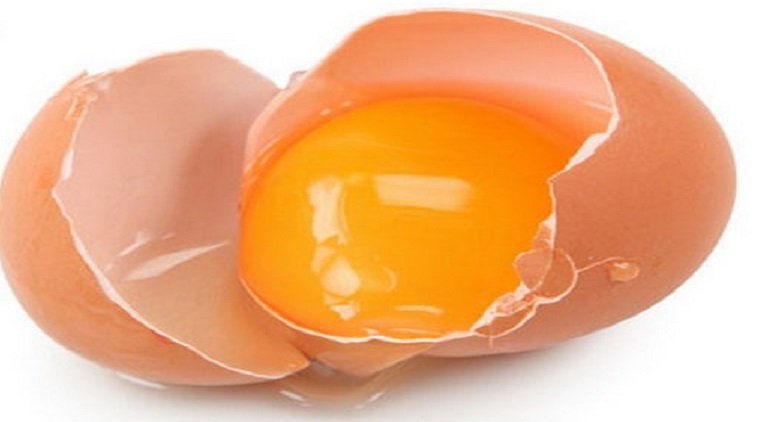 جمع آوری ۲۰۰ میلیون تخم مرغ سمی از بازار آمریکا