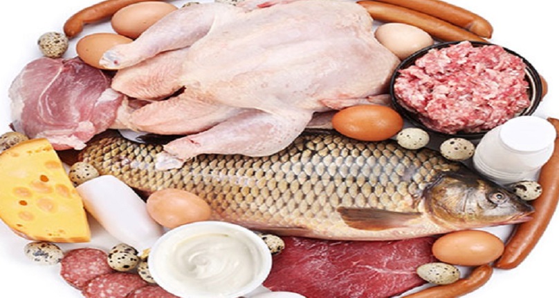 رئیس اتحادیه پرنده و ماهی: مرغ ارزان شد/قیمت هر کیلو ماهی سالمون نروژ ۱۷۵ هزار تومان