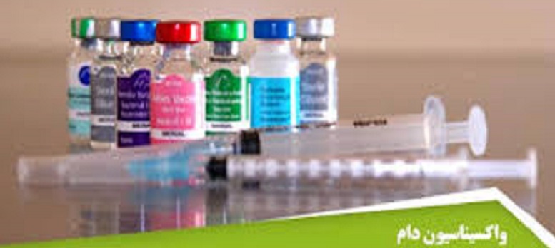 اقدامات سازمان دامپزشکی در خصوص واکسینه کردن دام‌ها در فصل پاییز