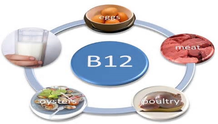 دانستنی هایی درباره ویتامین B12