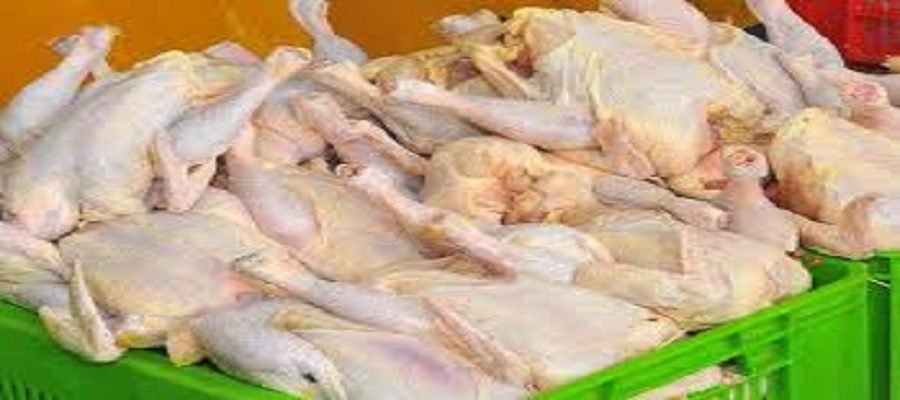 رئیس اتحادیه فروشندگان پرنده و ماهی: طرح آزمایشی عرضه‌ی مرغ سایزبندی در بازار آغاز شد
