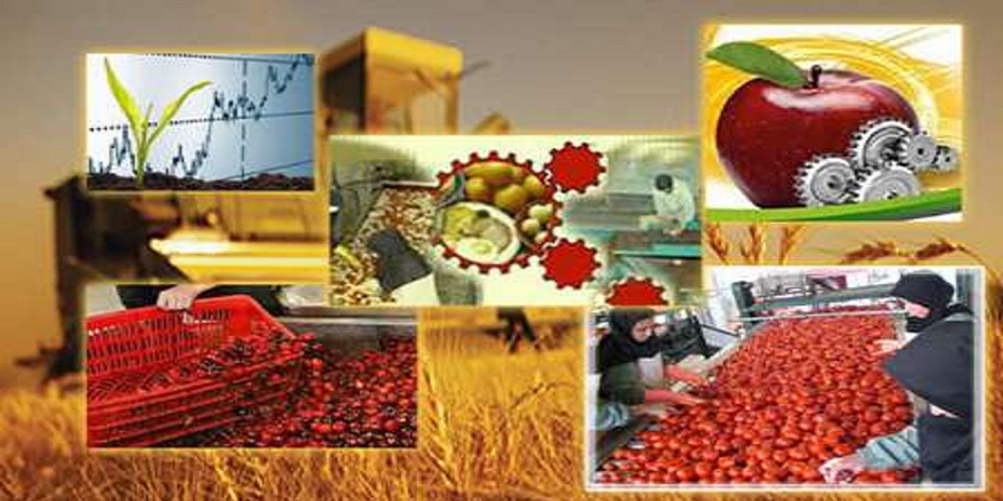 کمسیونر کشاورزی اتحادیه اروپا عنوان کرد؛ آغاز راه همکاری کشاورزی ایران و اروپا/سختگیرانه‌ترین استانداردها