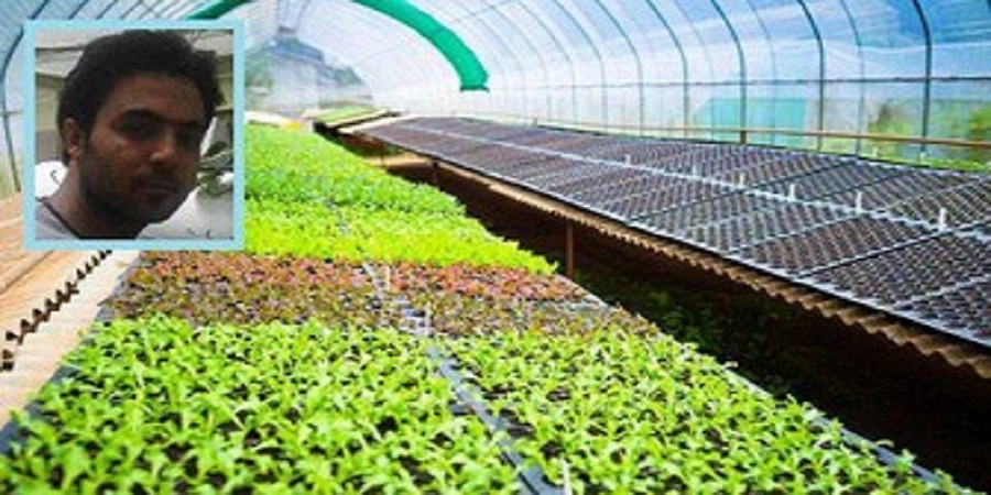 داود کریمی در سپاه ناحیه یزد یک گلخانه به روش آبکشت تأسیس کرد/ آقای هیدروپونیک و صید آفات با تله‌های نوری