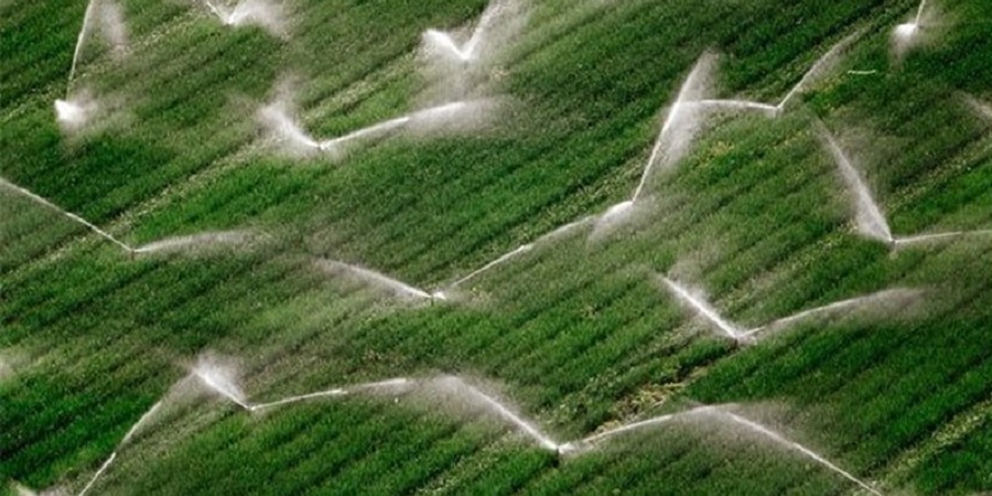 آبیاری کشاورزی نیازمند تحول