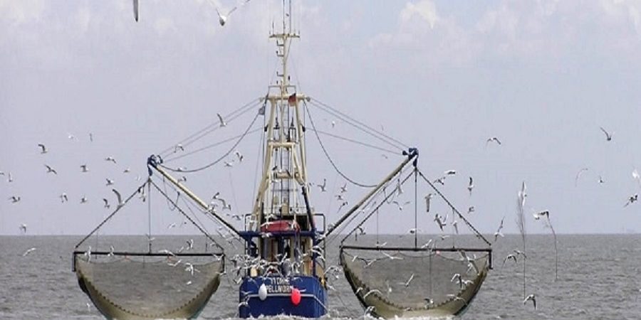 اعتراض ماهیگیران خُرد بوشهری به حضور کشتی های بزرگ صیادی
