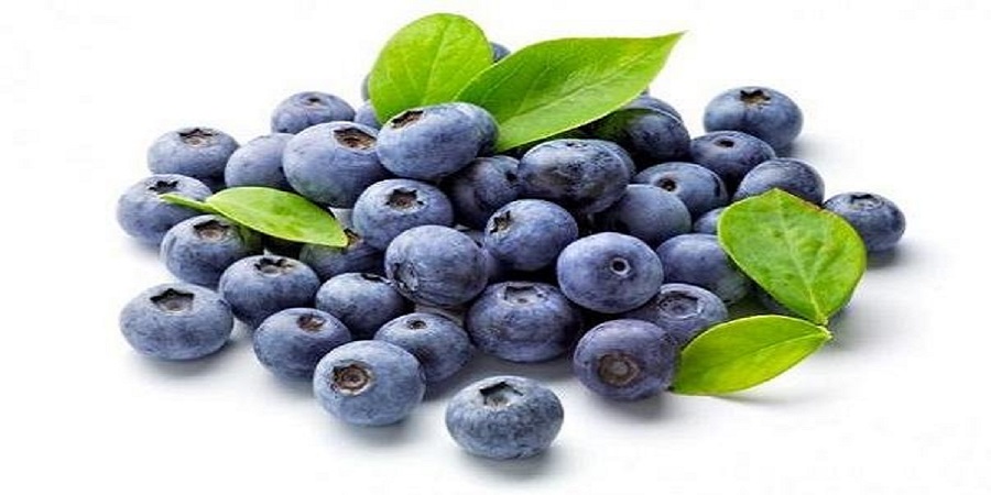 کاهش قند خون با میوه بلوبری