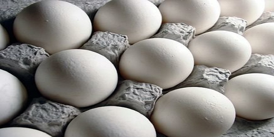 سیر صعودی تخم مرغ در بازار/ قیمت هر شانه تخم مرغ به ۲۴ هزار تومان رسید