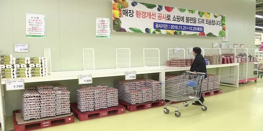 افزایش ۲۵ درصدی قیمت تخم مرغ در کره جنوبی