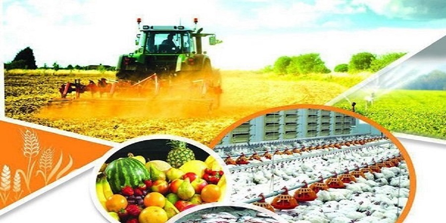 صادرات ۲.۸ میلیارد دلاری محصولات کشاورزی در ۷ ماهه امسال