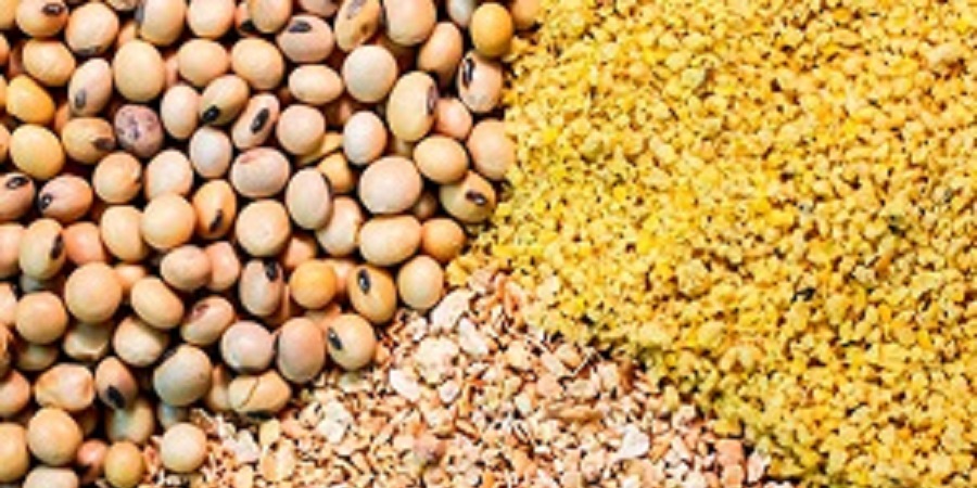 کاهش قیمت های جهانی نهاده های دامی/هشدار درباره قاچاق خوراک دام
