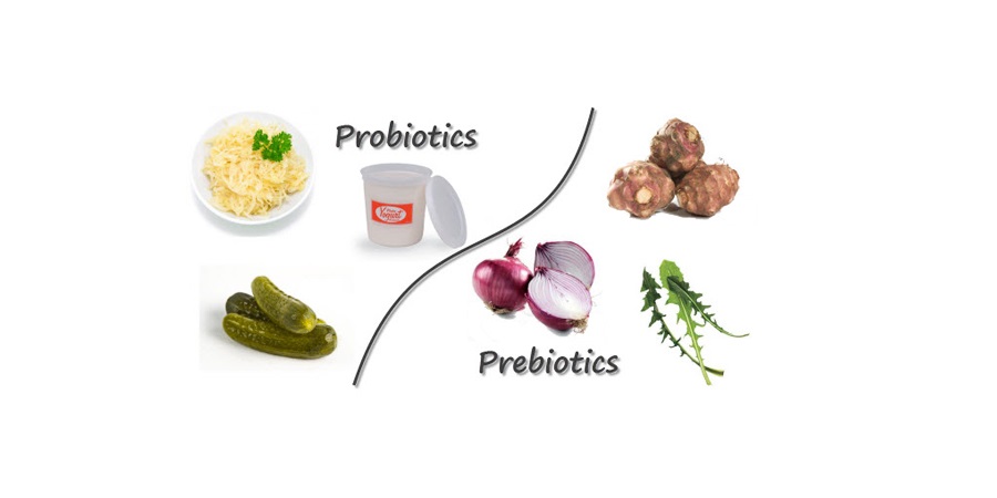 تفاوت پروبیوتیک با پریبیوتیک چیست؟