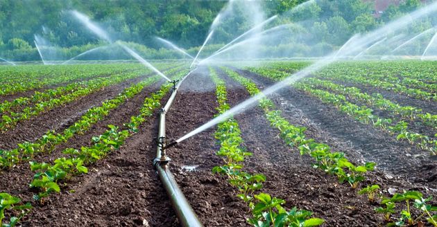 معاون وزیر جهاد کشاورزی: مصرف آب کشاورزی کمتر از ۷۰ درصد است