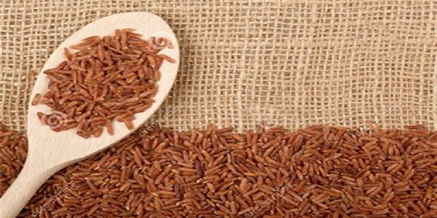 کارشناس ارشد ﺍﺩﺍﺭه ﻏﺬﺍ ﺩﺭ ﺳﺎﺯﻣﺎﻥ ﻏﺬﺍ ﻭ ﺩﺍﺭﻭ:برنج قهوه ای را به سبد غذایی وارد کنید