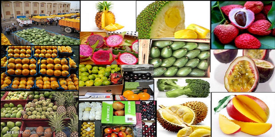 بخشنامه وزارت جهاد کشاورزی؛ واردات انواع میوه بصورت موقت آزاد شد