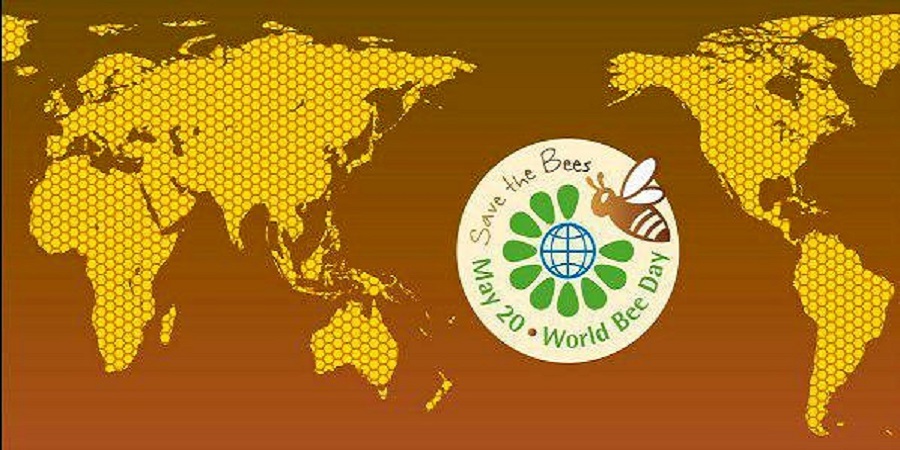 مدیرعامل اتحادیه مرکزی زنبورداران ایران خبر داد؛برگزاری نخستین جشن روز جهانی زنبور عسل