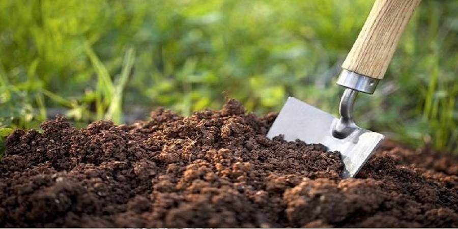 مجری طرح خودکفایی کود‌های کشاورزی: آغاز تولید کود‌های فسفاته از خاک فسفات در ایران