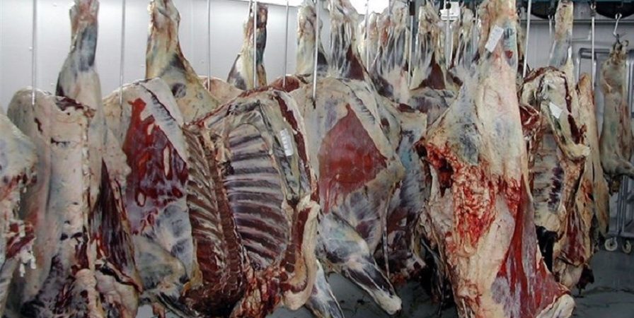 گوشت و مرغ تنظیم بازاری همچنان عرضه می‌شود