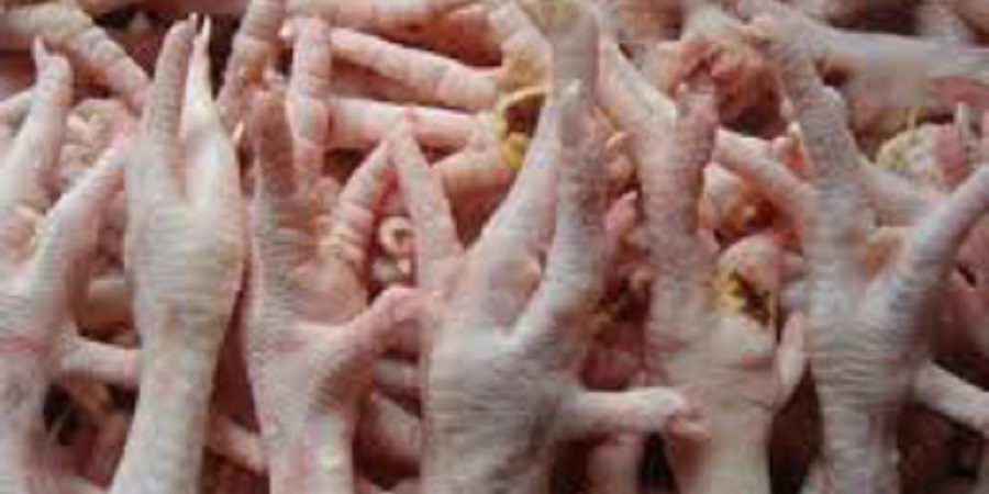 ویتنامی‌ها مشتری پای مرغ تولیدی در البرز