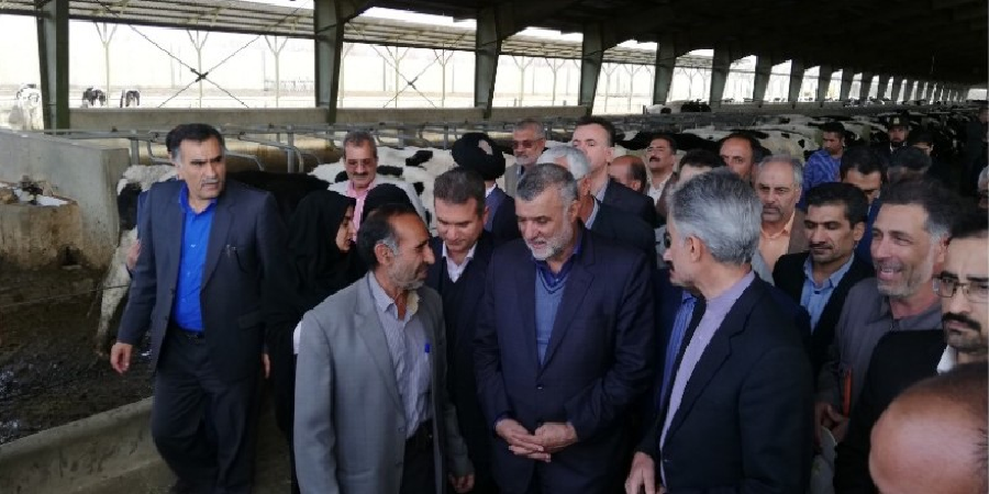 وزیر جهاد کشاورزی: افزایش بهره وری آب و خاک از سیاست های جهاد کشاورزی است