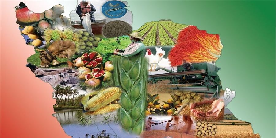 یادداشت/ ناهماهنگی های وزارت صنعت و  کشاورزی تهدیدی جدی برای صنعت غذای کشور