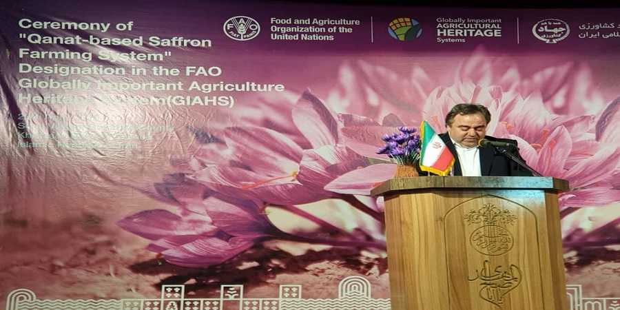 عضو هیئت نمایندگان اتاق ایران: ثبت جهانی زعفران به عنوان شالوده ای از بازاریابی مبتنی بر اصالت کالا می تواند مورد استفاده قرار گیرد