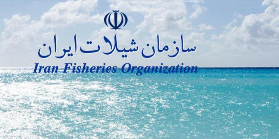 رئیس سازمان شیلات ایران مطرح کرد: توقف ١۶ فروند شناور متخلف صید فانوس ماهیان/ ٩٠ شناور همچنان مجوز صید در جنوب را دارند