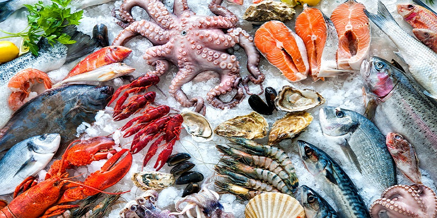یک فعال صنعت شیلات: سرانه مصرف محصولات دریایی افزایش می یابد
