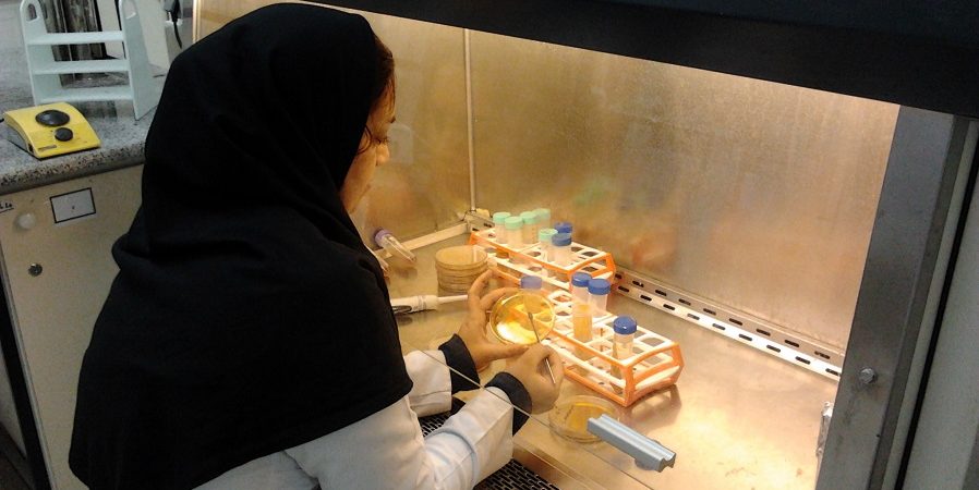 استخدام سرپرست آزمایشگاه در شرکت احیا نان ایرانیان