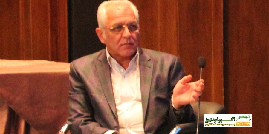 رئیس هیات مدیره انجمن صنفی گاوداران: صادرات دام در انتظار امضای وزیر جهاد