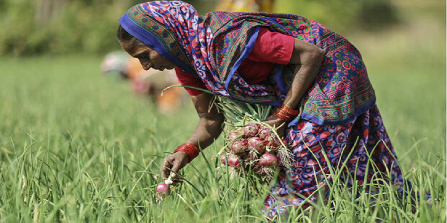 یارانه ۱۹ میلیارد دلاری هند برای کود به کشاورزان