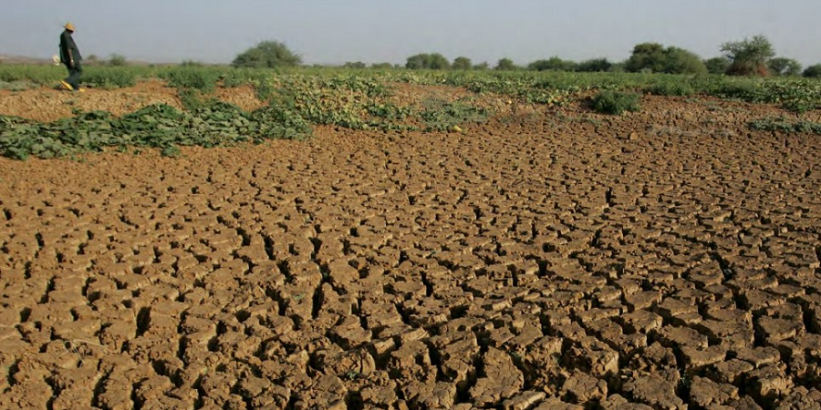زنگ خطر بحران خشکسالی در بخش کشاورزی به صدا در آمد