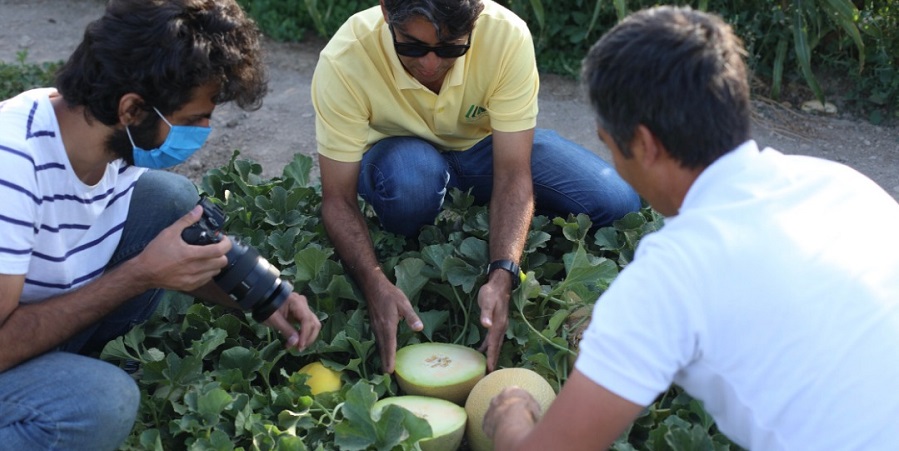 اولین روز مزرعه آنلاین در ایران برگزار شد