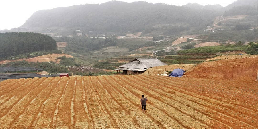 ۹ هزار میلیارد ریال طرح کشاورزی امسال درهرمزگان به بهره برداری می‌رسد