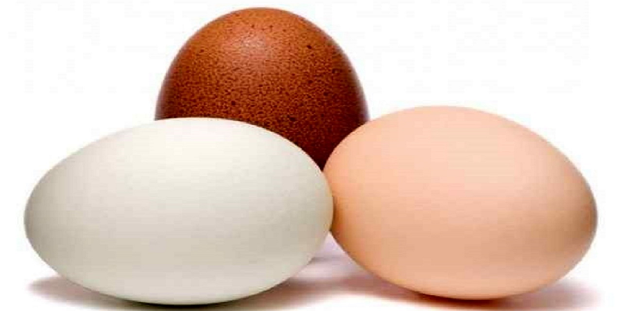 تخم مرغ‌های قهوه‌ای با سفید چه تفاوتی دارند؟