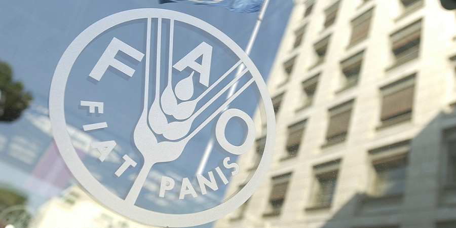 فائو اعلام کرد؛ افزایش قیمت جهانی مواد غذایی به سطح بی‌سابقه