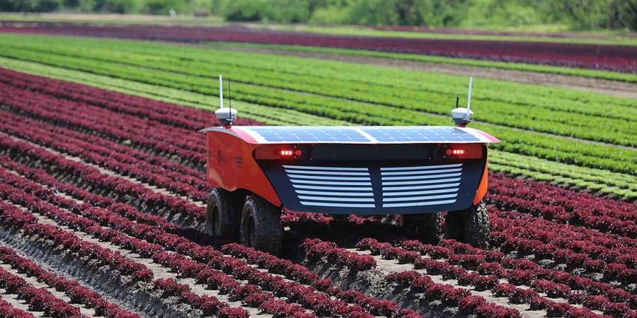 نابودی آفت‌های کشاورزی با ربات خودران خورشیدی+فیلم