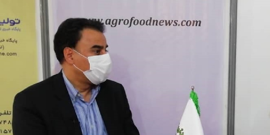 مدیرعامل شرکت پروتئین ایران (شیلتون): تن ماهی از سفره اقشار هدف خارج شده است
