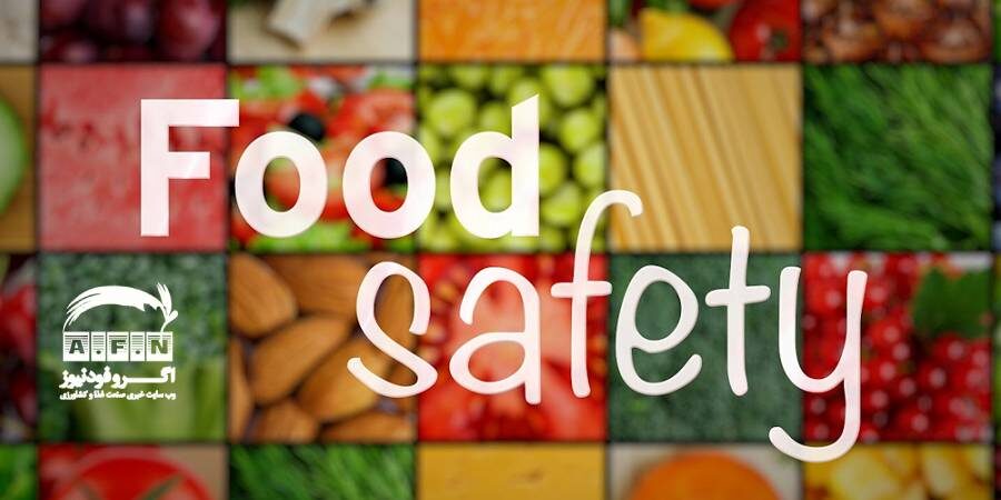 سند ملی تغذیه و امنیت غذایی بزودی تصویب می‌شود