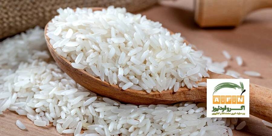 ۴۵ درصد از برنج تولید داخلی در دست کشاورزان باقی مانده/ دولت باید به واردات نظارت کند/ فروشگاه‌ها تمایلی برای خرید ندارند
